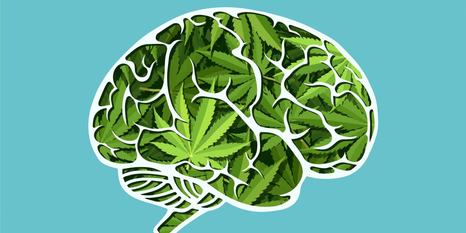 Illustration d'un cerveau humain rempli de feuilles de cannabis